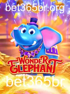 Desvendando o Mundo do WonderElephant